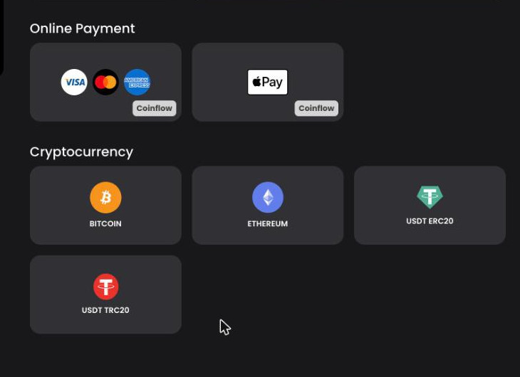 MetaDraw Top-up cashier tiles: Visa, Mastercard and Amex or Apple Pay through Coinflow, and Bitcoin, Ethereum, USDT ERC20 and USDT TRC20